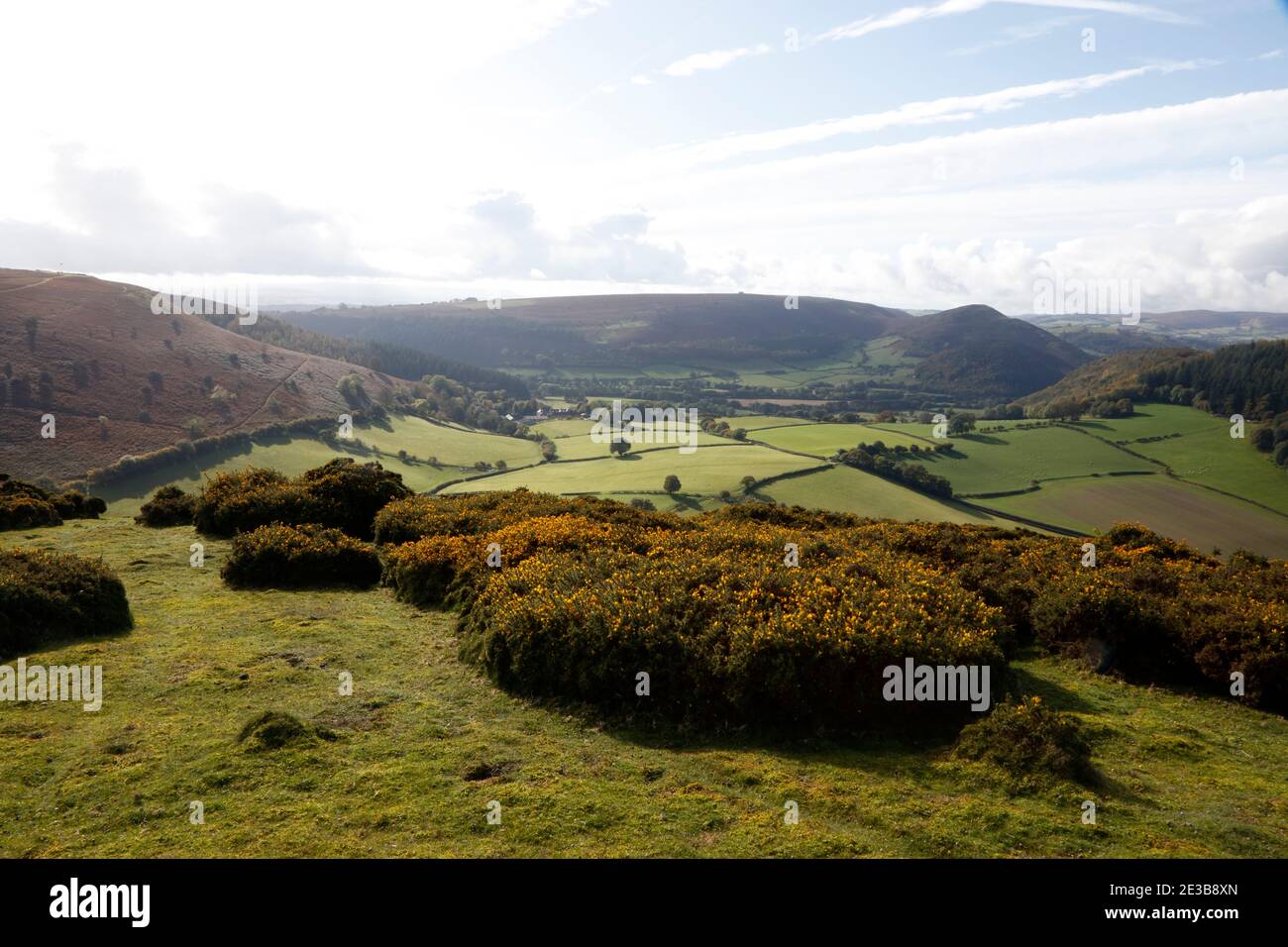 Hergest Ridge und Hanter Hill aus Herrock Hill, Herefordshire, England, Großbritannien Stockfoto