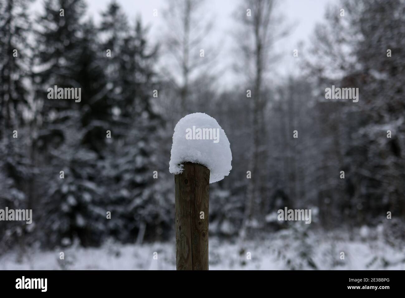 Weiße Schneekappen an den Zaunpfosten. Stockfoto