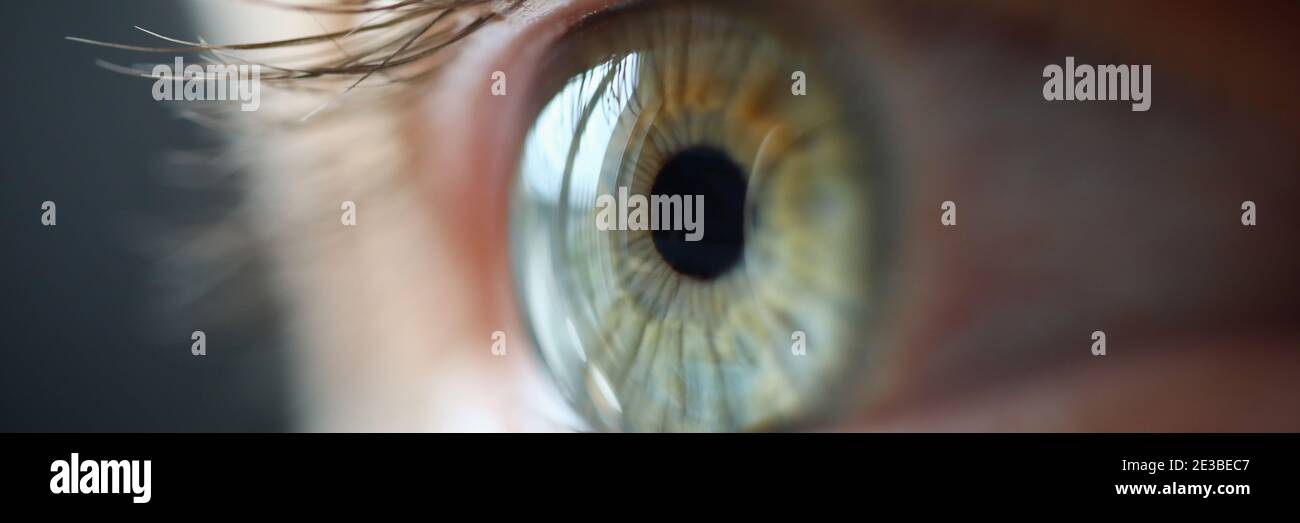 Blaues Auge mit Wimpern aus nächster Nähe. Stockfoto