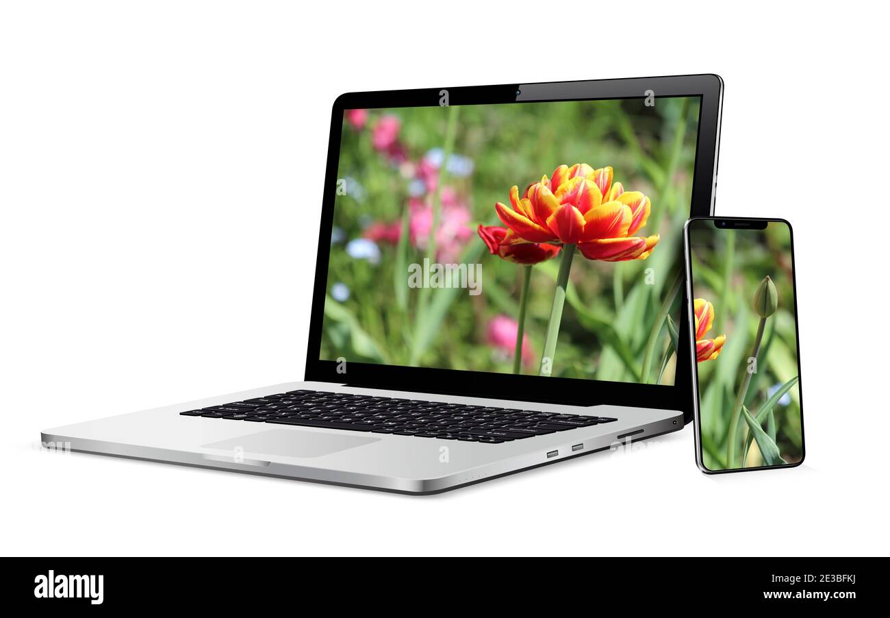 Moderner Laptop-Computer mit Smartphone isoliert auf weiß. Tulpe Blumen auf dem Bildschirm Geräte Stockfoto