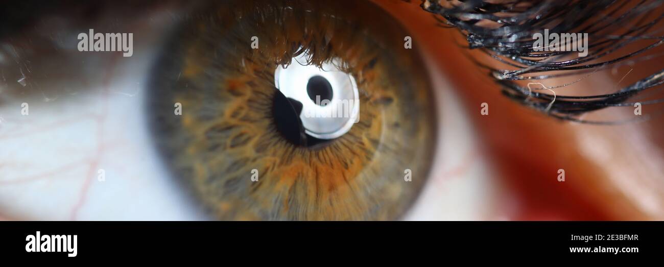Weibliche grün-braune Augen Nahaufnahme. Stockfoto