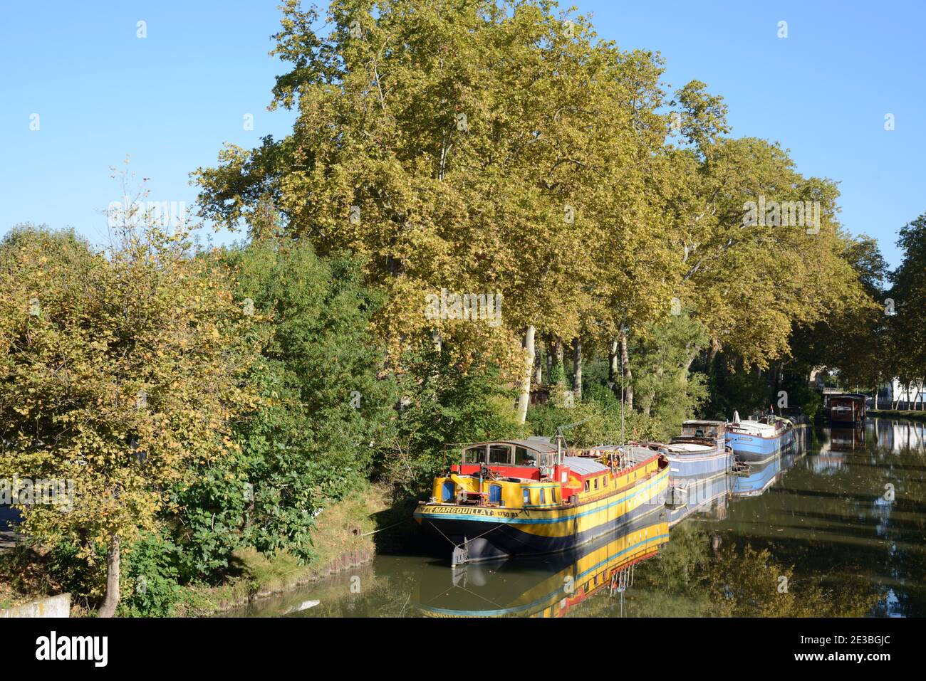 Bunte Kanalboote, lange Boote oder Hausboote auf dem Canal du Midi Toulouse Haute-Garonne Frankreich festgemacht Stockfoto
