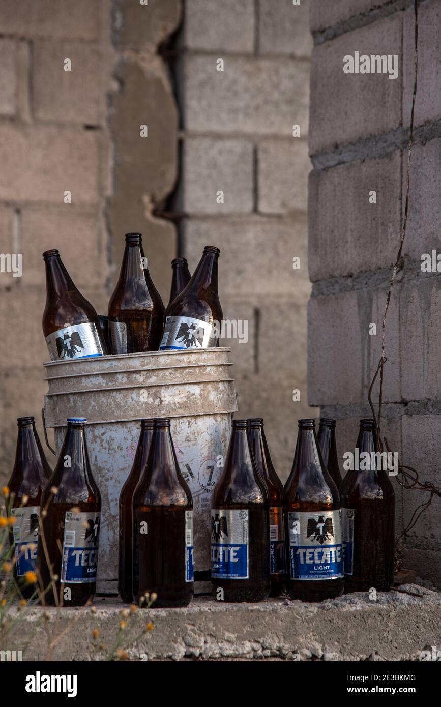 Nahaufnahme eines weißen 5-Gallonen-Eimers, gefüllt mit leeren Tecate Bierflaschen auf einer Baustelle in Mexiko. Stockfoto
