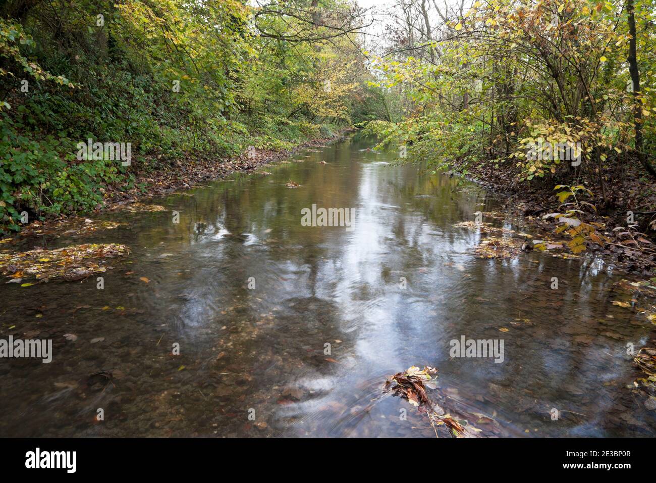 Der Fluss Wylye in Great Wishford in Wiltshire. Stockfoto