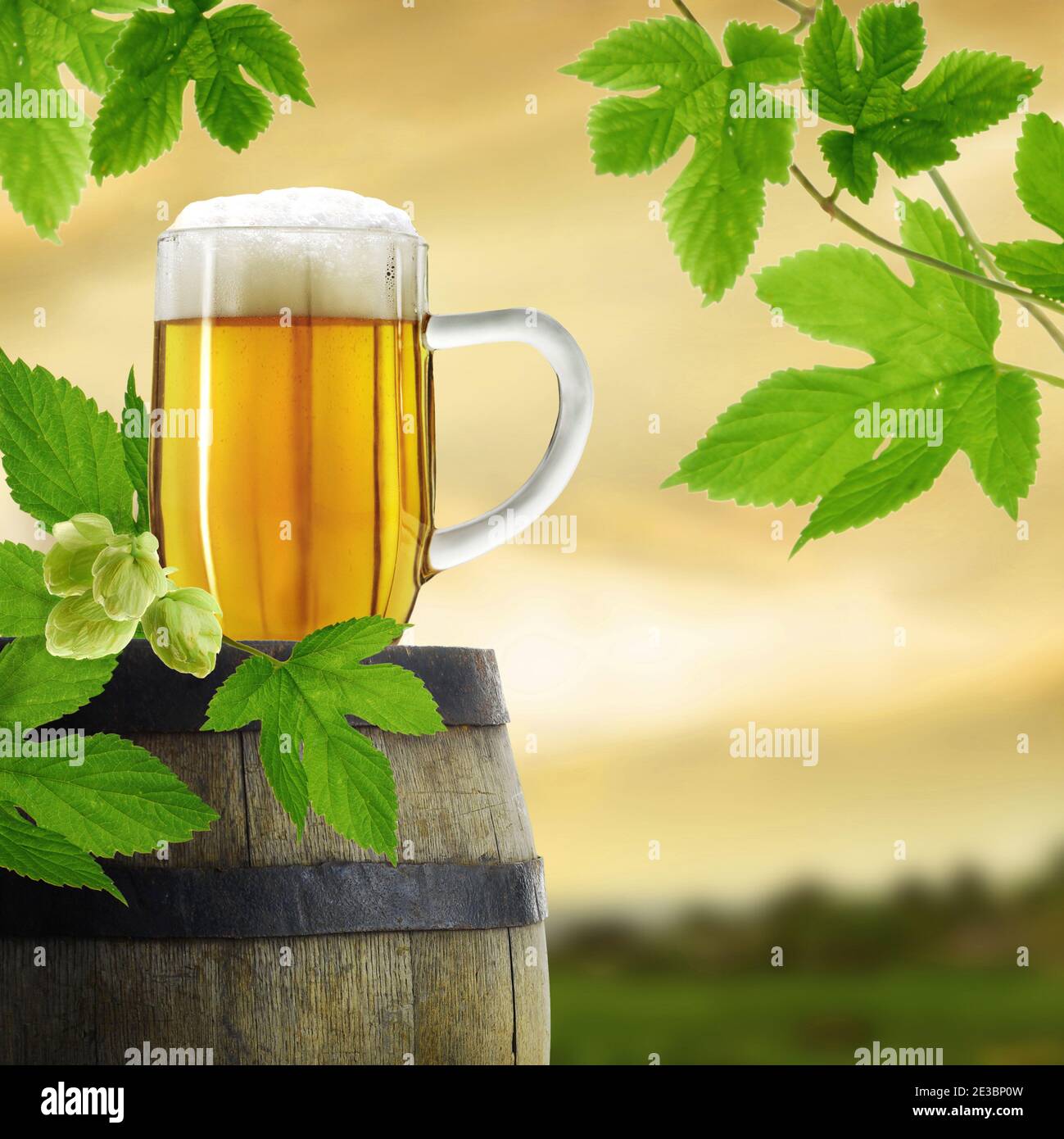 Komposition von Bier im Glas auf Fass mit Hopfenpflanze, in verschwommener Sonnenuntergangslandschaft im Hintergrund Stockfoto