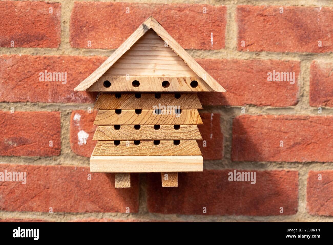 Ein Bienenhaus, das an einer Gartenwand befestigt ist Stockfoto