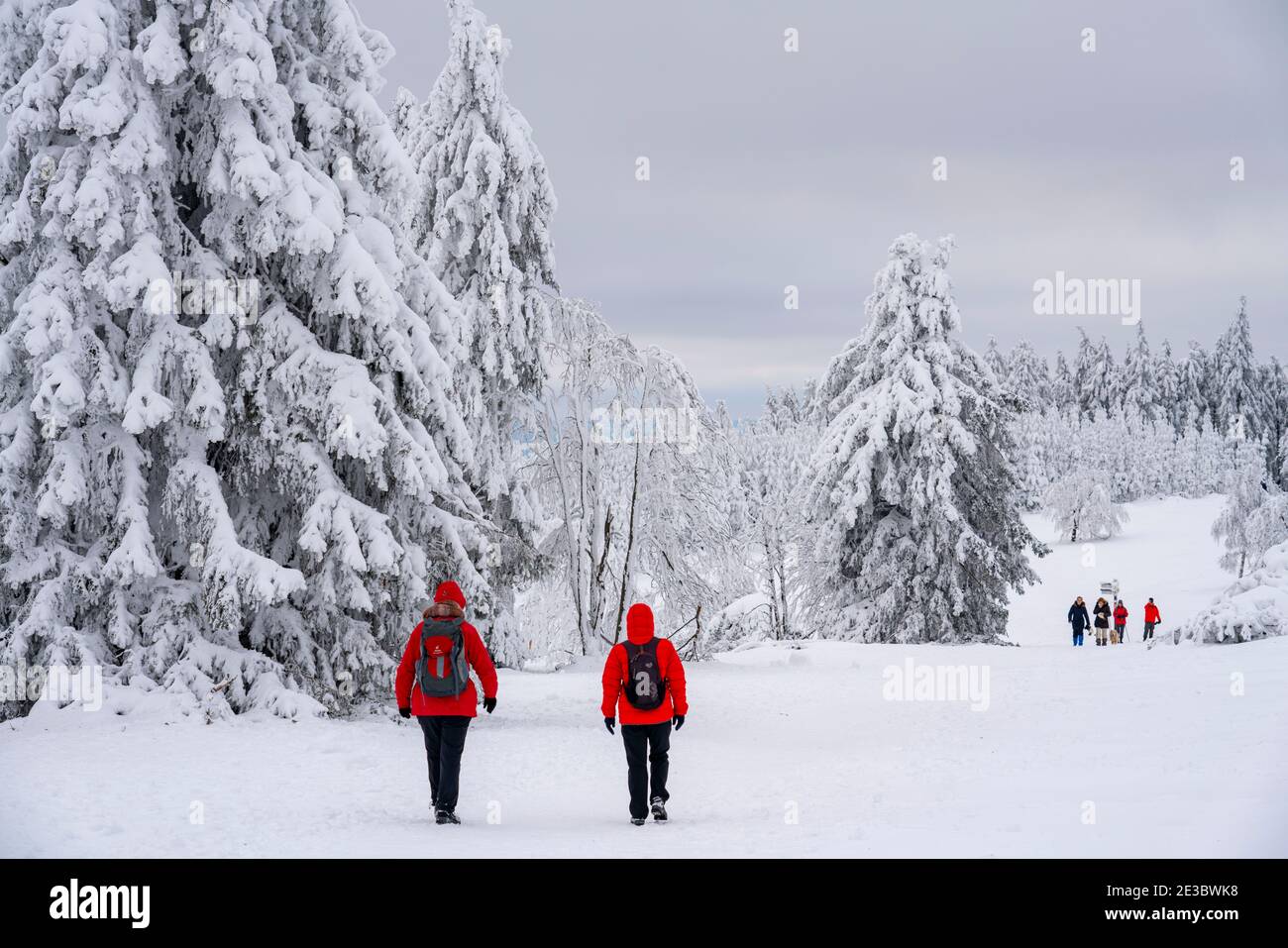 Winter im Sauerland, am Kahler Asten, bei Winterberg, wenige Touristen, Besucher, während der Corona-Sperre im Januar 2021, NRW, Deutschland Stockfoto