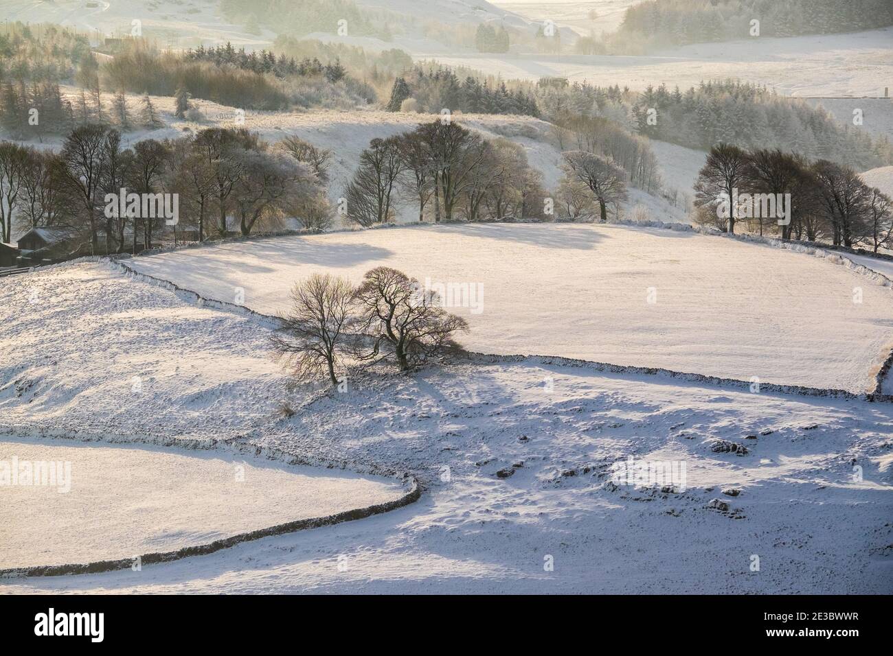 Winterlandschaft mit Feldern, Schnee und Bäumen im Peak District Stockfoto
