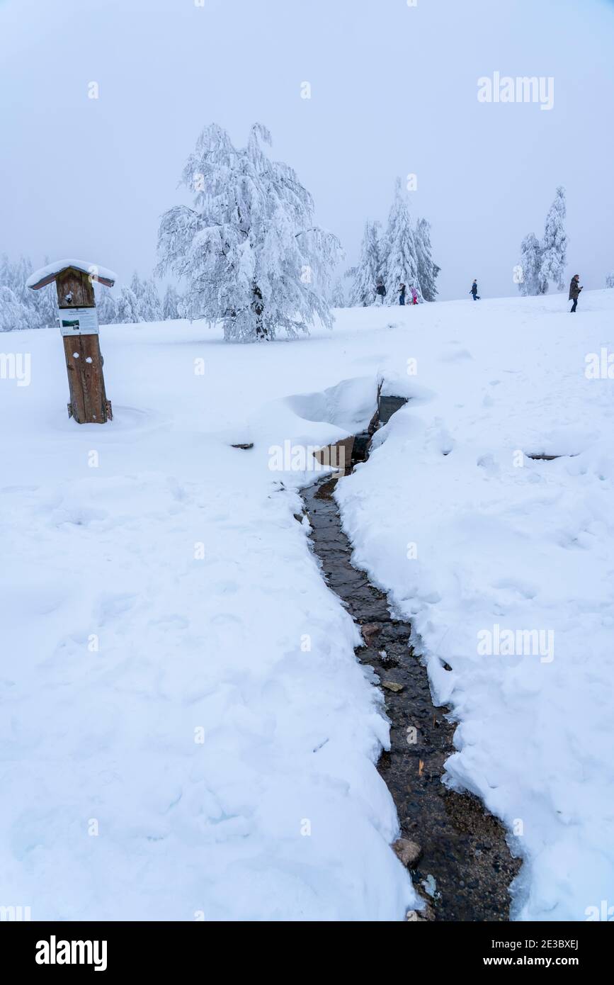 Winter im Sauerland Bezirk, am Kahler Asten Berg, Quelle der Lenne, bei Winterberg, wenige Touristen, Besucher, während der Corona Absperrung in Stockfoto
