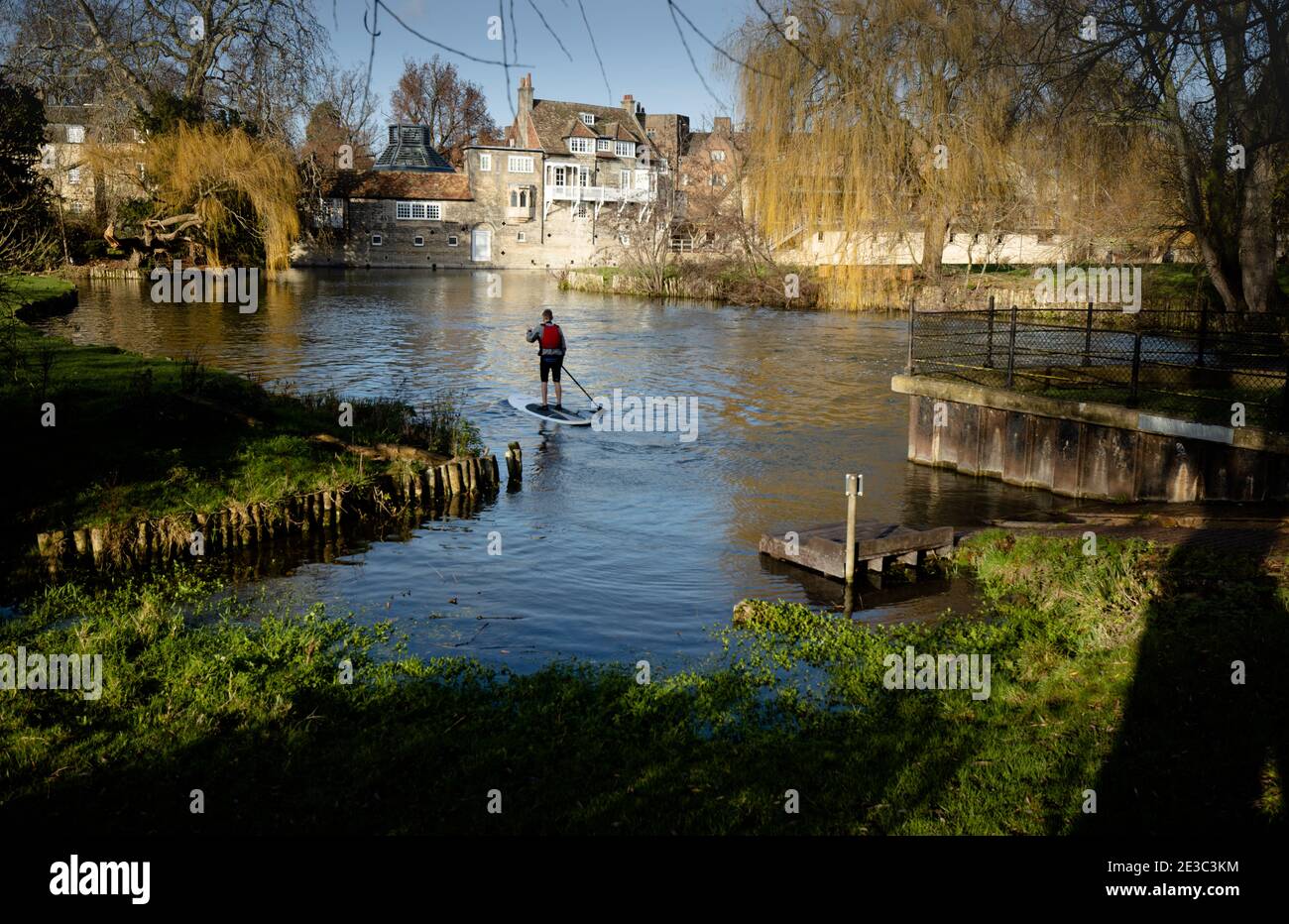 Eineiger Paddelboarder paddeln auf dem Fluss Cam und Granta mit Alte Gebäude von Darwin College Cambridge England Stockfoto