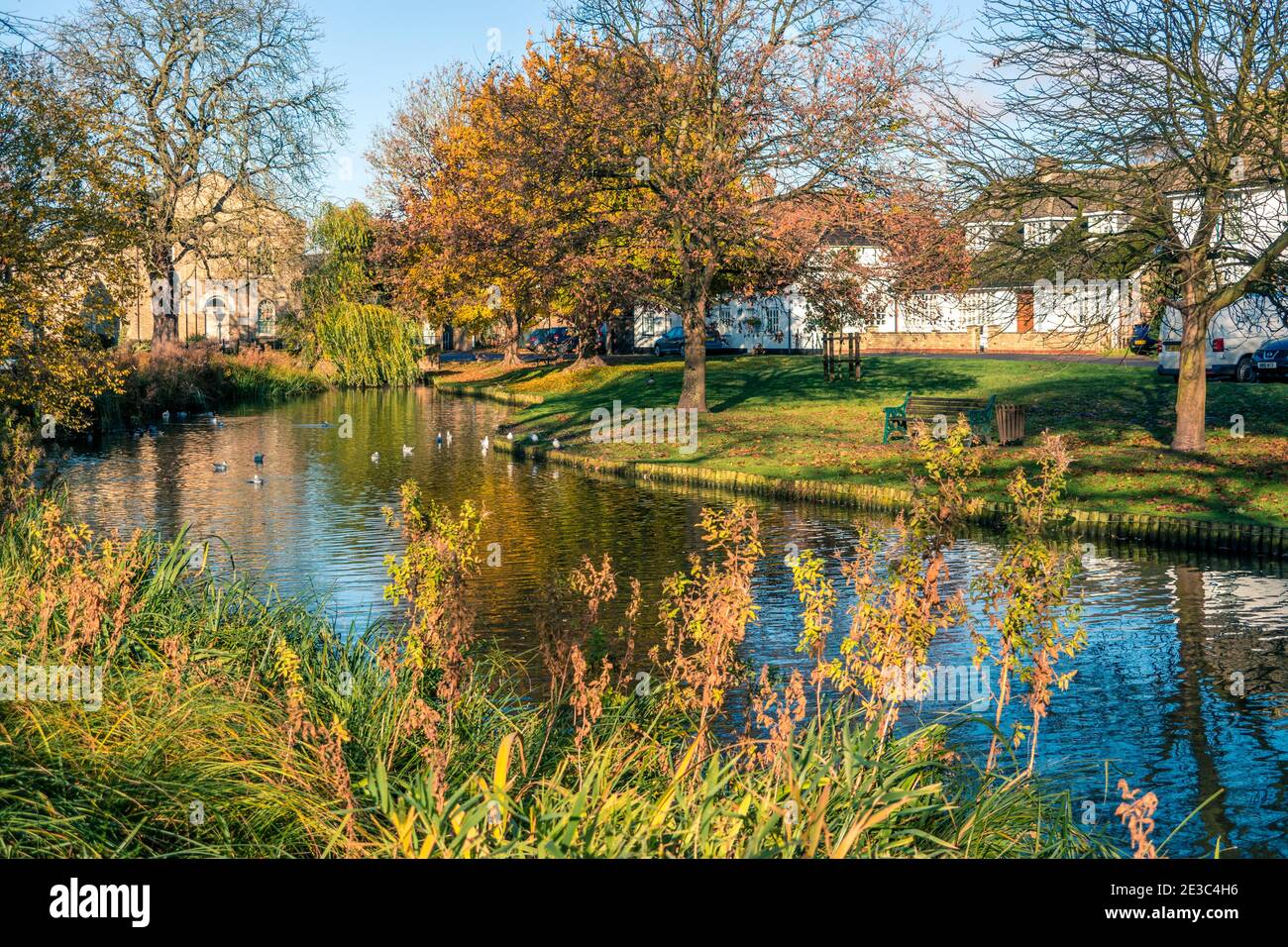 Herbstansicht des Grünen und Dorfteich bei Histon In der Nähe von Cambridge, England Stockfoto