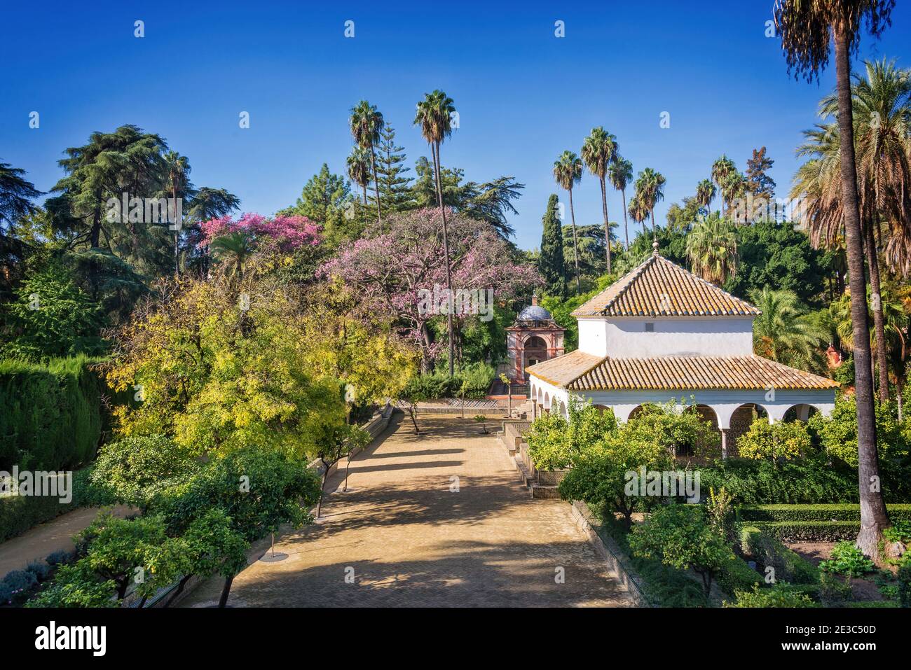 Die Gärten des Alcazar von Sevilla, Andalusien, Spanien. Stockfoto