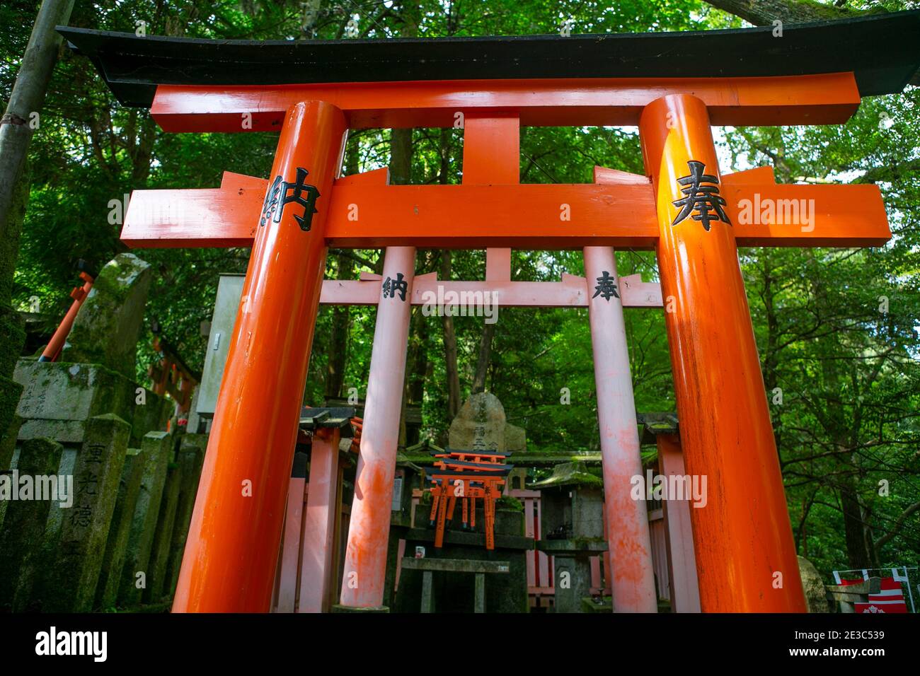 Fushimi Inari Temple Gehwege Stockfoto
