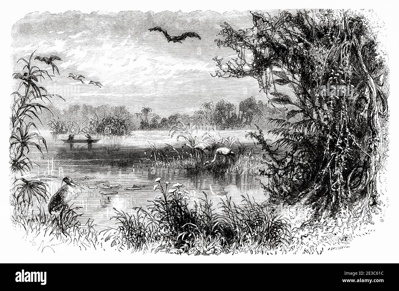 Die Inseln des Flusses Magdalena, Kolumbien. Alte eingravierte Illustration des 19. Jahrhunderts. Reise nach New Granada mit Charles Saffray von El Mundo en La Mano 1879 Stockfoto