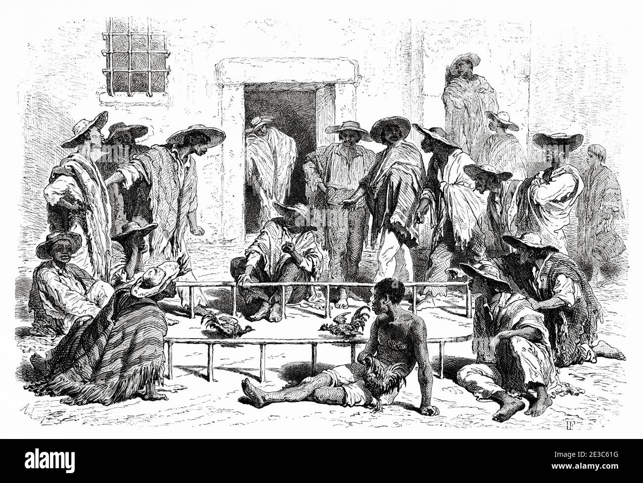 Hahnenkampf in einem Dorf in New Granada, Kolumbien. Alte eingravierte Illustration des 19. Jahrhunderts. Reise nach New Granada mit Charles Saffray von El Mundo en La Mano 1879 Stockfoto