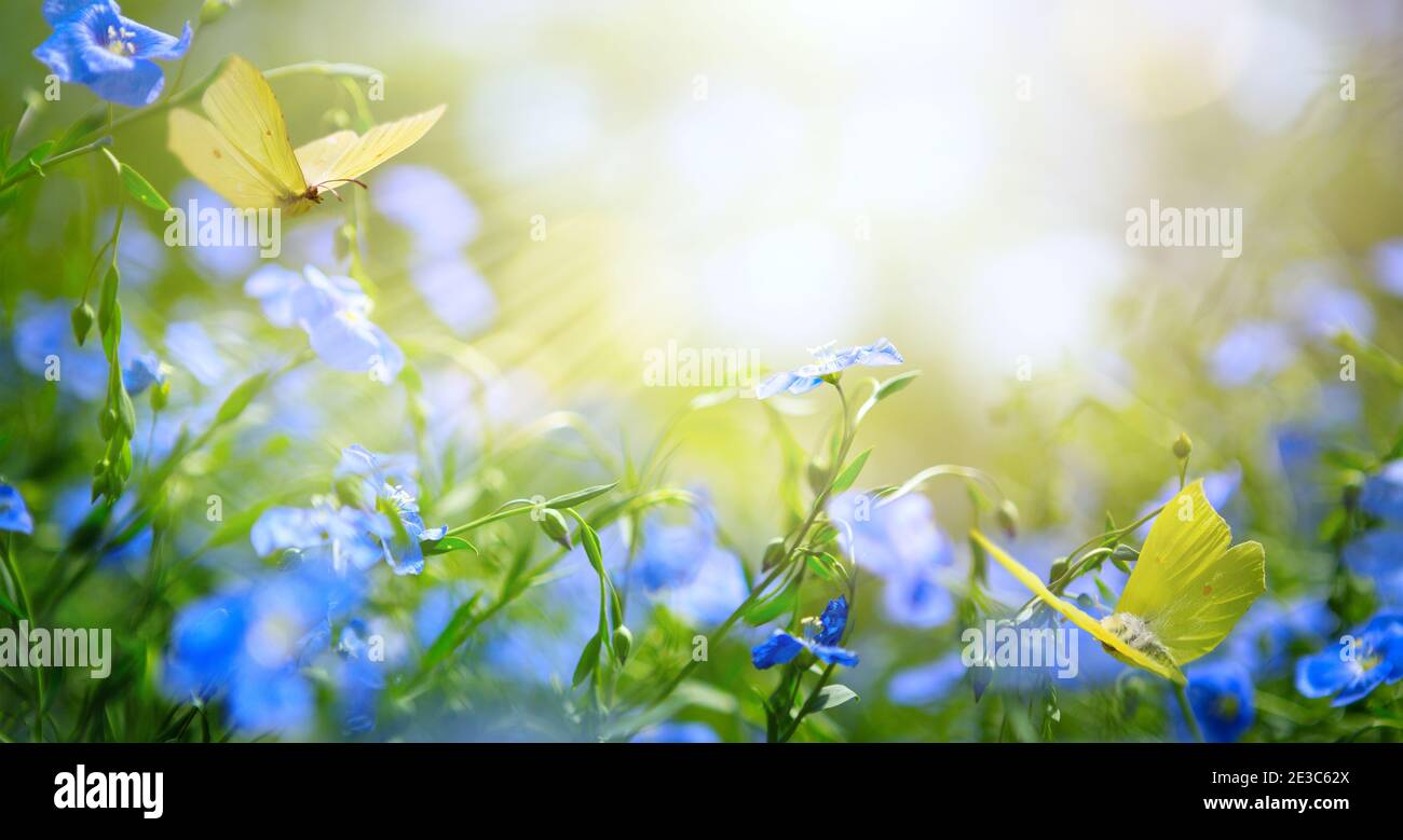 Kunst abstrakt Frühling Hintergrund mit frischen Blumen und fliegende Schmetterlinge Stockfoto