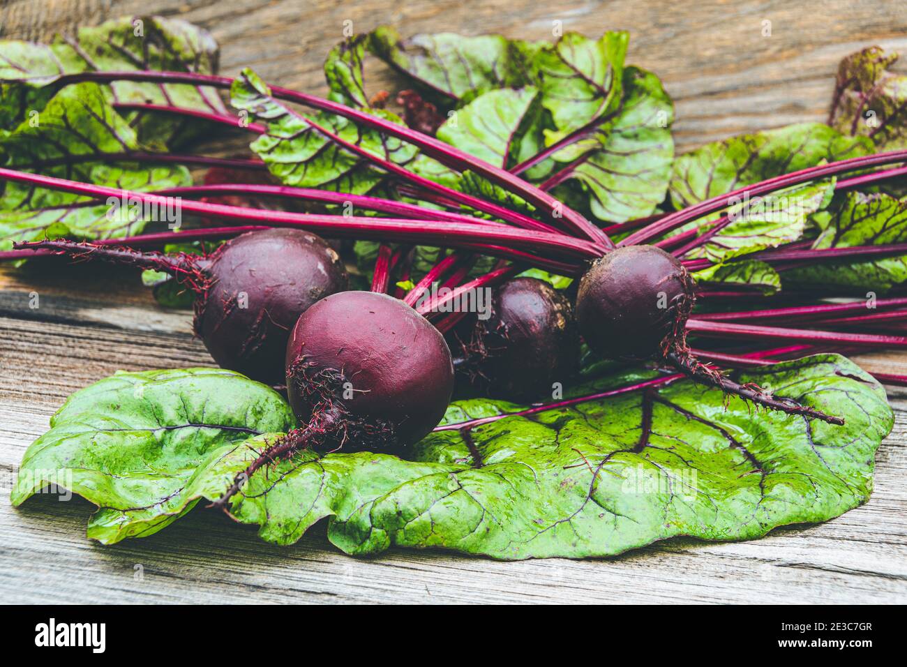 Rote Bete Knollen mit grünen Blättern auf Holztisch. Zubereitung von frischem Salat. Frisches Gemüse für vegetarische Küche. Rüben auf dem Straßenmarkt. Stockfoto
