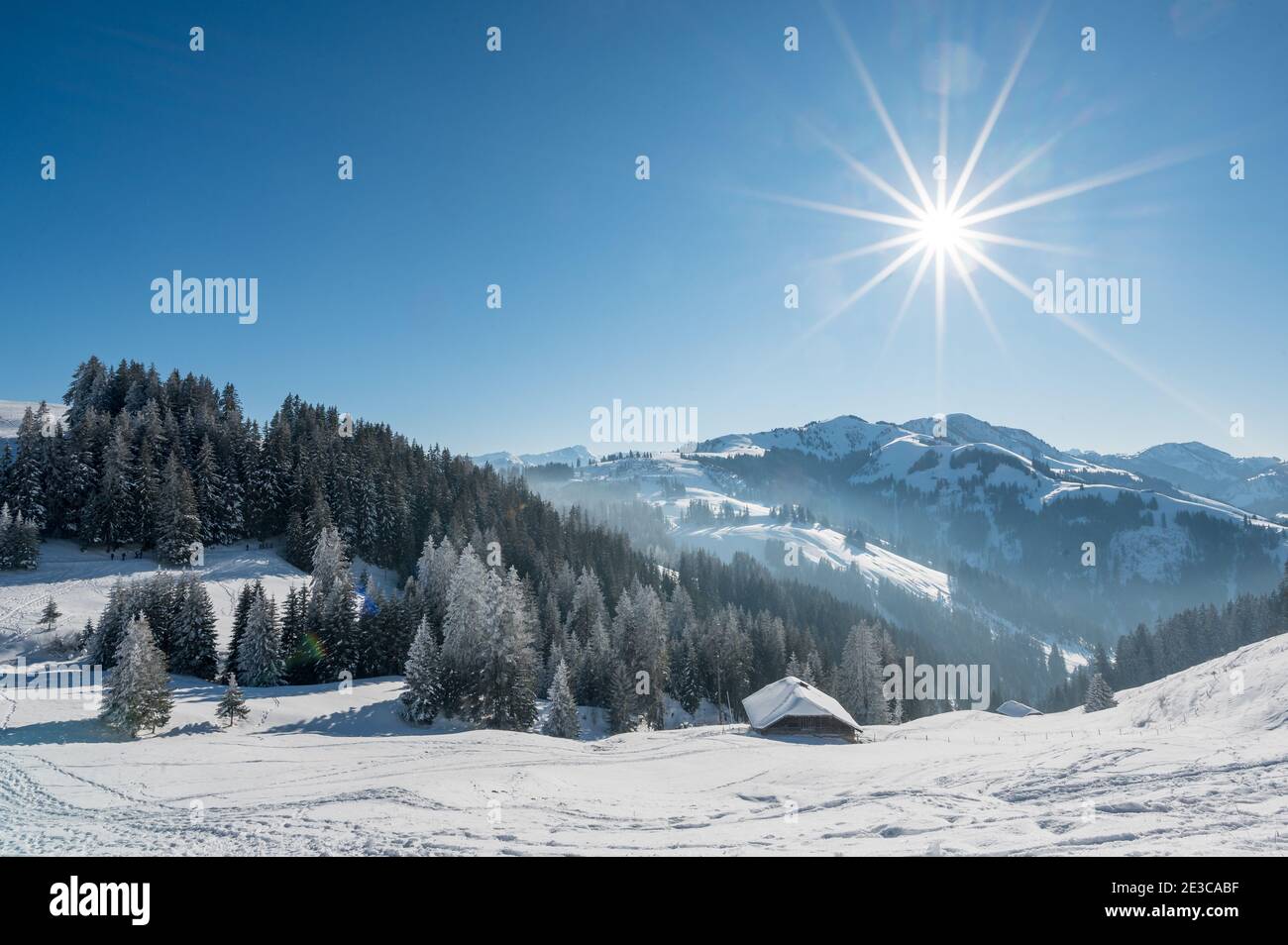 Verträumte verschneite Winterlandschaft am Jaun Pass in den Berner Alpen Stockfoto