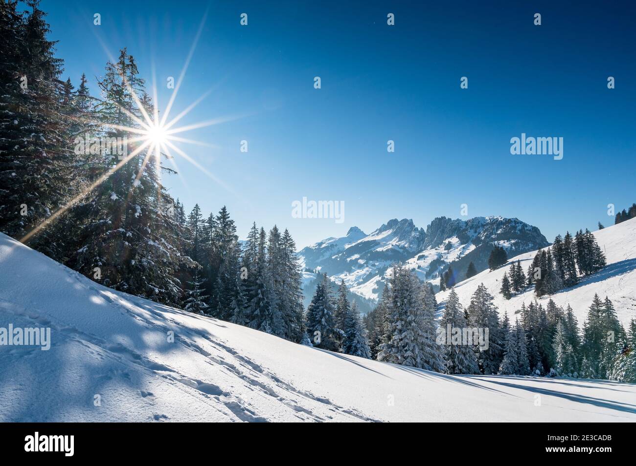 Wunderschöne schneebedeckte Winterlandschaft am Jaun Pass in den Berner Alpen Stockfoto