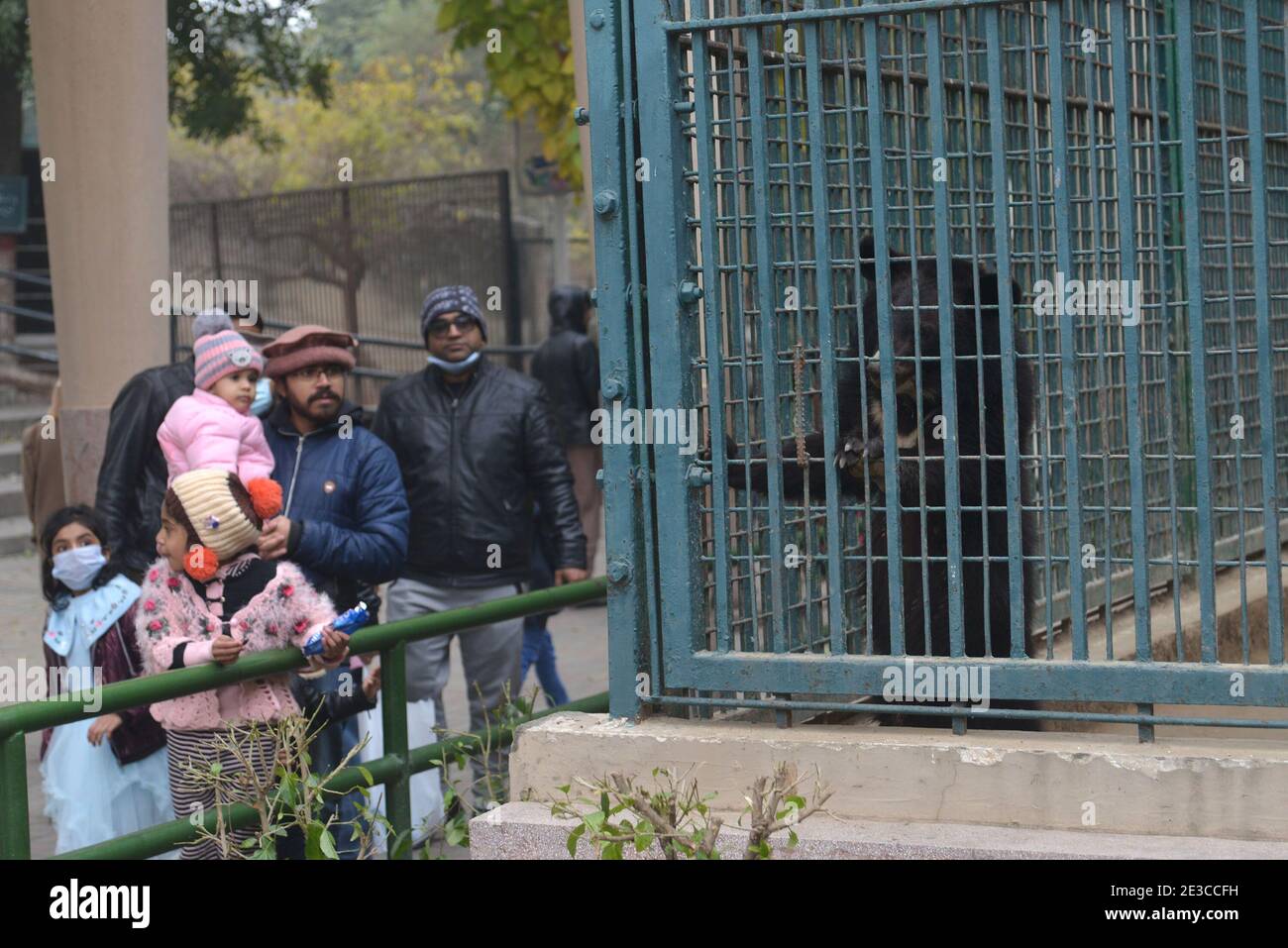 Pakistanische Besucher kommen im Zoo von Lahore an, um die Sonntagsferien zu genießen Während der nebligen Wintersaison in Provinzhauptstadt Lahore Stockfoto