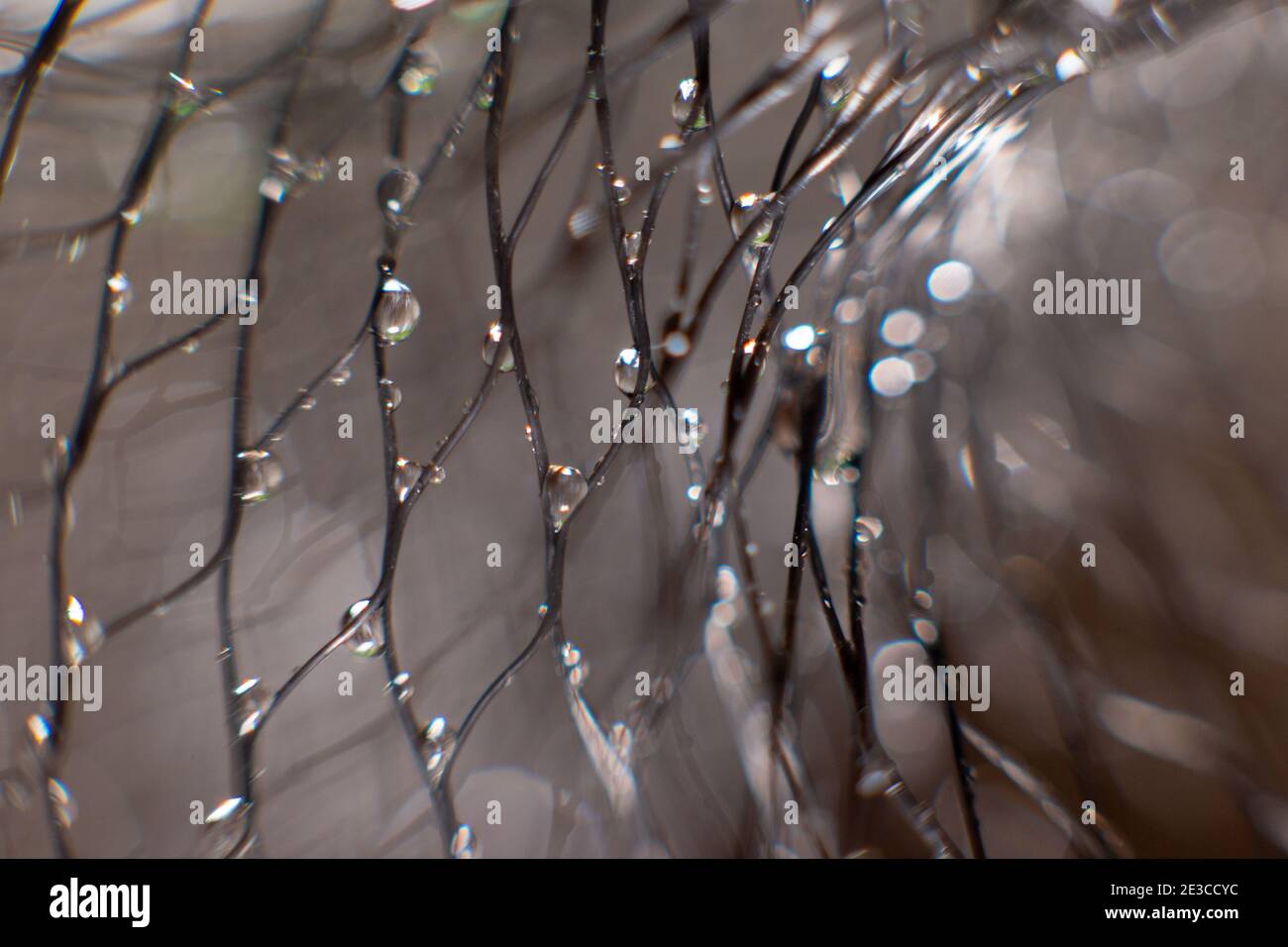 Wassertropfen auf einem schwarzen Netz auf einem unscharfen grauen Hintergrund. Abstrakter Hintergrund Stockfoto