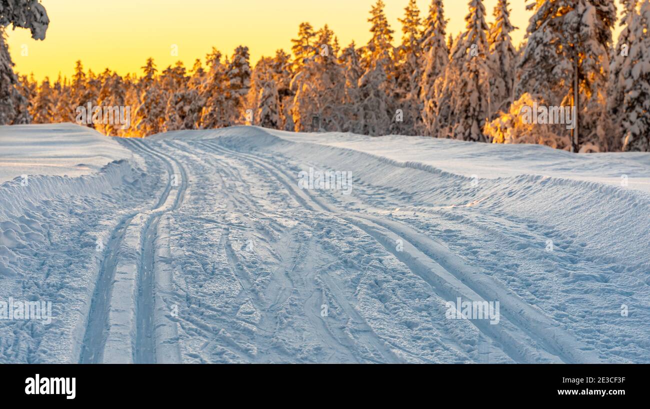 Langlaufloipe, die in der Dämmerung durch einen schneebedeckten, gefrorenen Wald führt. Stockfoto
