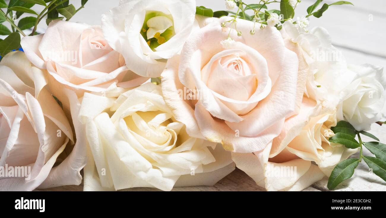 Blumenzusammensetzung von hellen Rosen und Lisianthus Nahaufnahme. Hochzeitstag Grußkarte. Banner und Vollformat Stockfoto