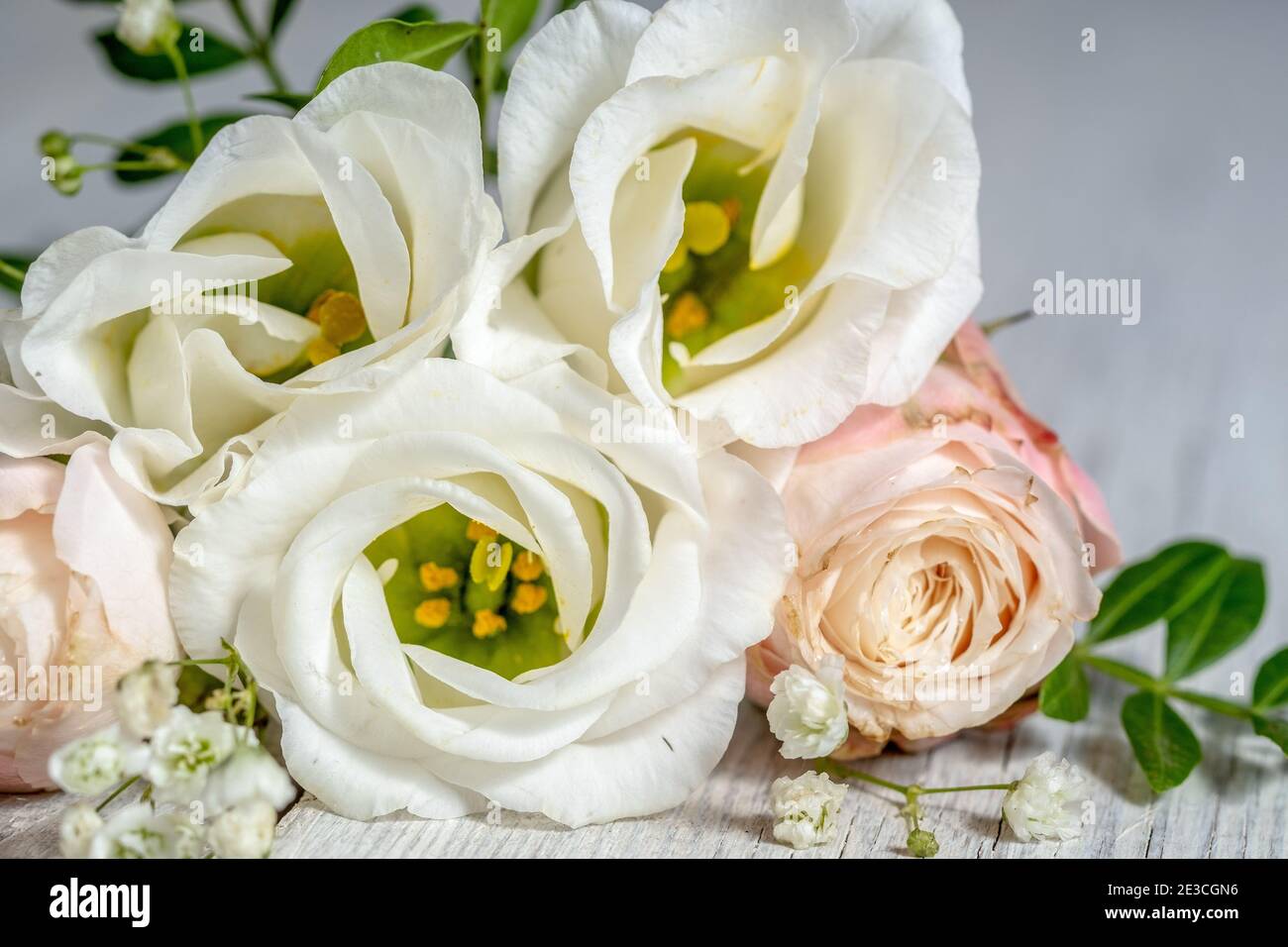 Blumenzusammensetzung von hellen Rosen und eustoma Nahaufnahme. Hochzeitstag Grußkarte. Stockfoto