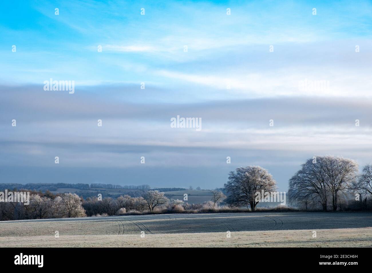 Frostige Bäume in der britischen Landschaft Stockfoto