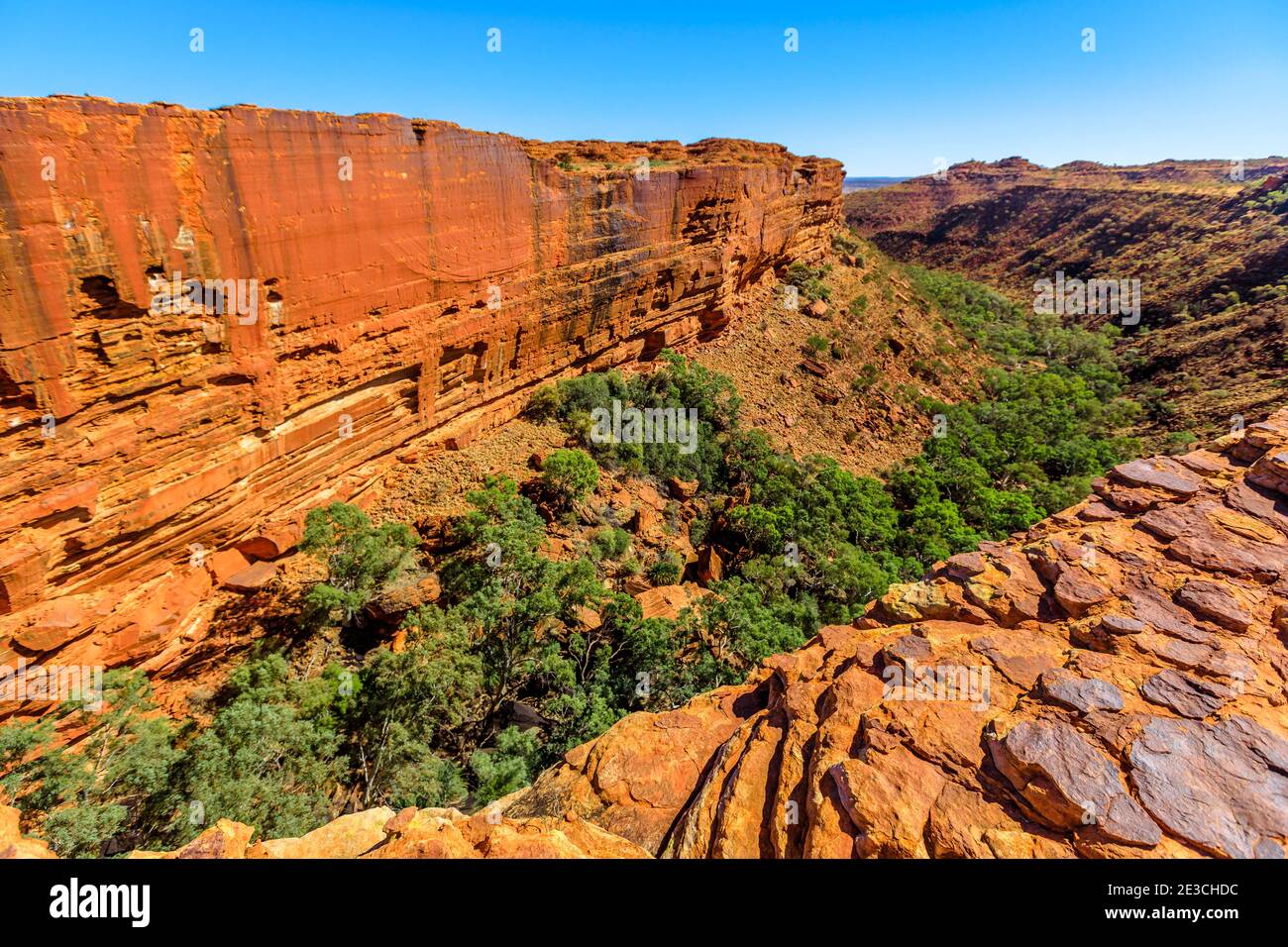 Hohe Mauern, roter Sandstein und Garten Eden mit Gummibäumen und Buschvegetation. Panoramablick auf Watarrka National Park, Australien Outback Red Stockfoto