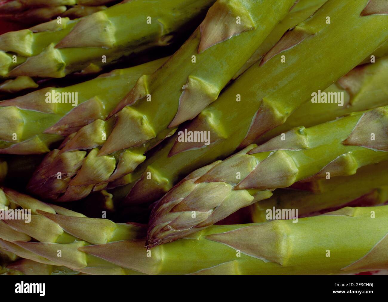 Ein Stillleben von Spargelspitzen Stockfoto