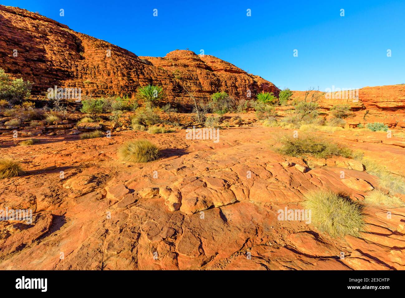Die malerischen Sandsteinkuppen, die Lost City genannt werden, befinden sich am Anfang des Kings Canyon Rim im Watarrka National Park, Zentralaustralien. Kultige Attraktion Platz in Stockfoto