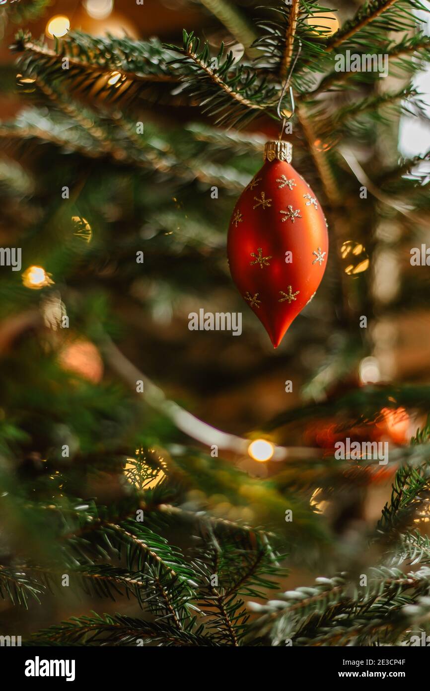 Weihnachtsbaum mit rot glänzender Kugel. Festliche Weihnachten Ornament hängen auf Baum verschwommen Hintergrund.traditionelle Feiertag dekorative Szene. Heiligabend Stockfoto