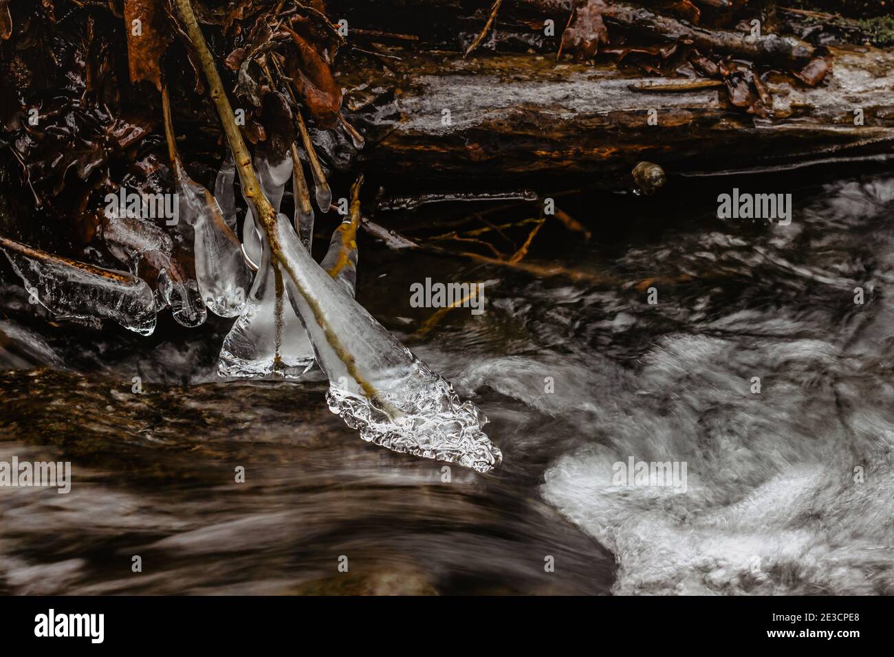 Nahaufnahme von Eiszapfen in der Nähe von wilden Strom.Snowy Winterlandschaft.Eiszapfen in Natur Eis Hintergrund.kalt rutschigen saisonalen Wetter. Reihe von frostigen Eiszapfen. Stockfoto
