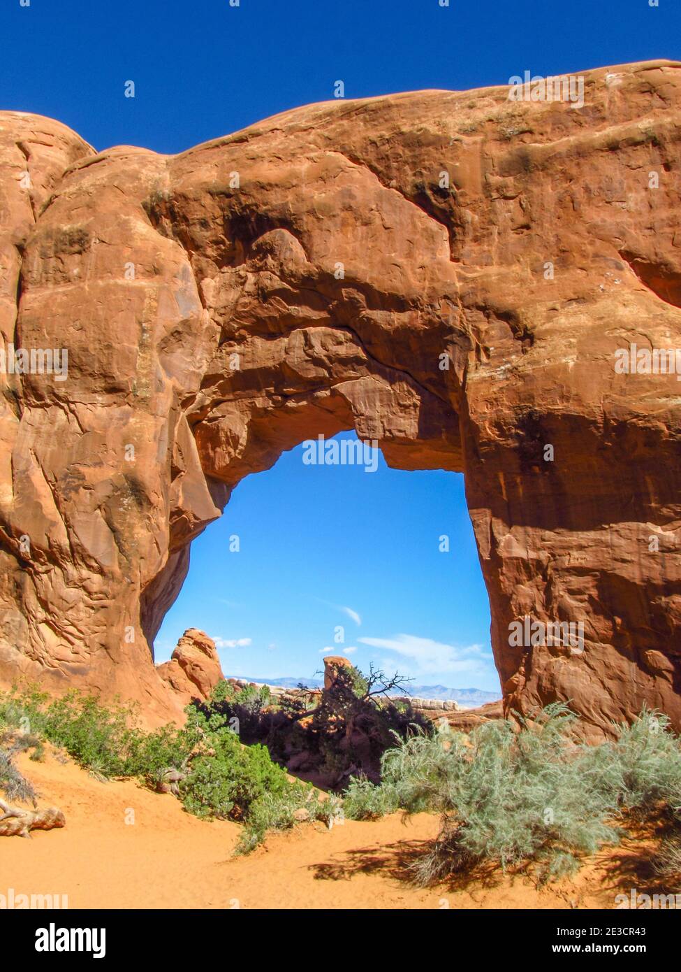 Blick durch den Kiefernbogen, einer der kleineren Bögen in der Devil Gardens Area des Arches National Park, Utah, USA Stockfoto
