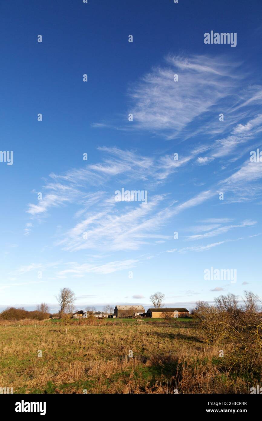 Cambridgeshire Landschaft; Farm Gebäude in der Ferne, Burwell Fen an einem sonnigen Tag im Januar, Burwell Cambridgeshire UK Stockfoto