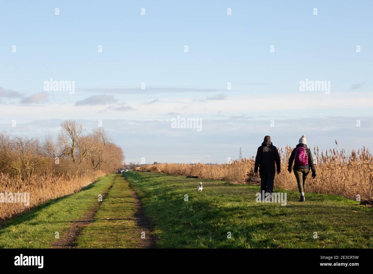 Ein Paar zu Fuß den Hund in Großbritannien Landschaft. Menschen in Burwell Fen Wandern im januar Sonnenschein im Winter, Burwell, Cambridgeshire East Anglia Großbritannien Stockfoto