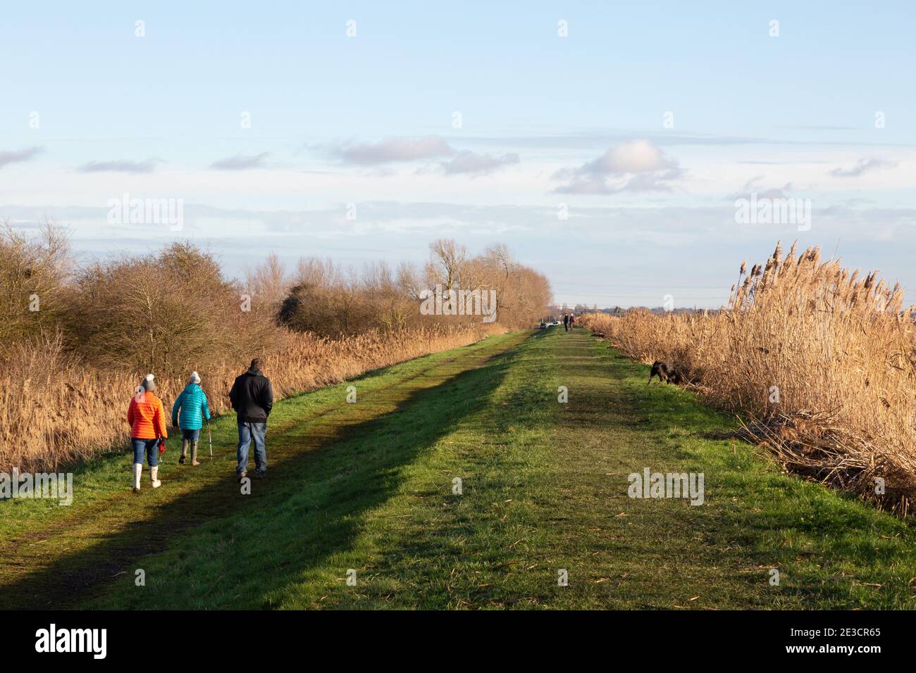 UK Lifestyle; Menschen auf dem Land in Großbritannien. Wanderer im Burwell Fen, Wandern im januar Sonnenschein im Winter, Burwell, Cambridgeshire East Anglia Großbritannien Stockfoto