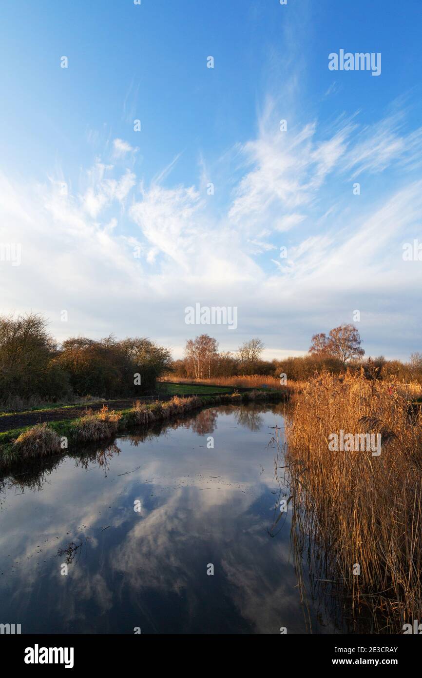 East Anglia Landschaft; Burwell Fen an einem sonnigen Tag mit blauem Himmel im Januar, Burwell, Cambridgeshire England Großbritannien Stockfoto