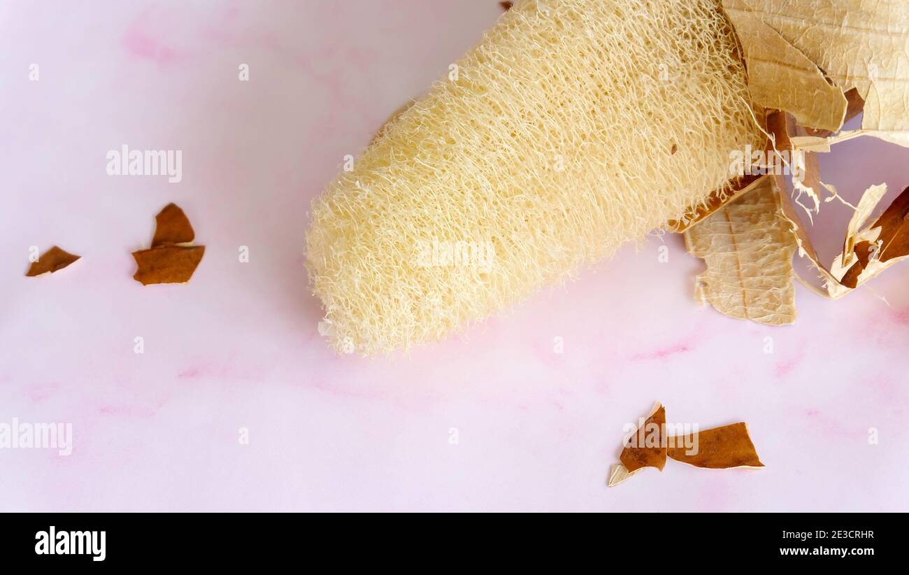 Nahaufnahme eines trockenen und sauberen Loofahs mit einigen Luffa-Fruchthautstücken, die auf einem rosa Marmorgrund verstreut sind. Stockfoto