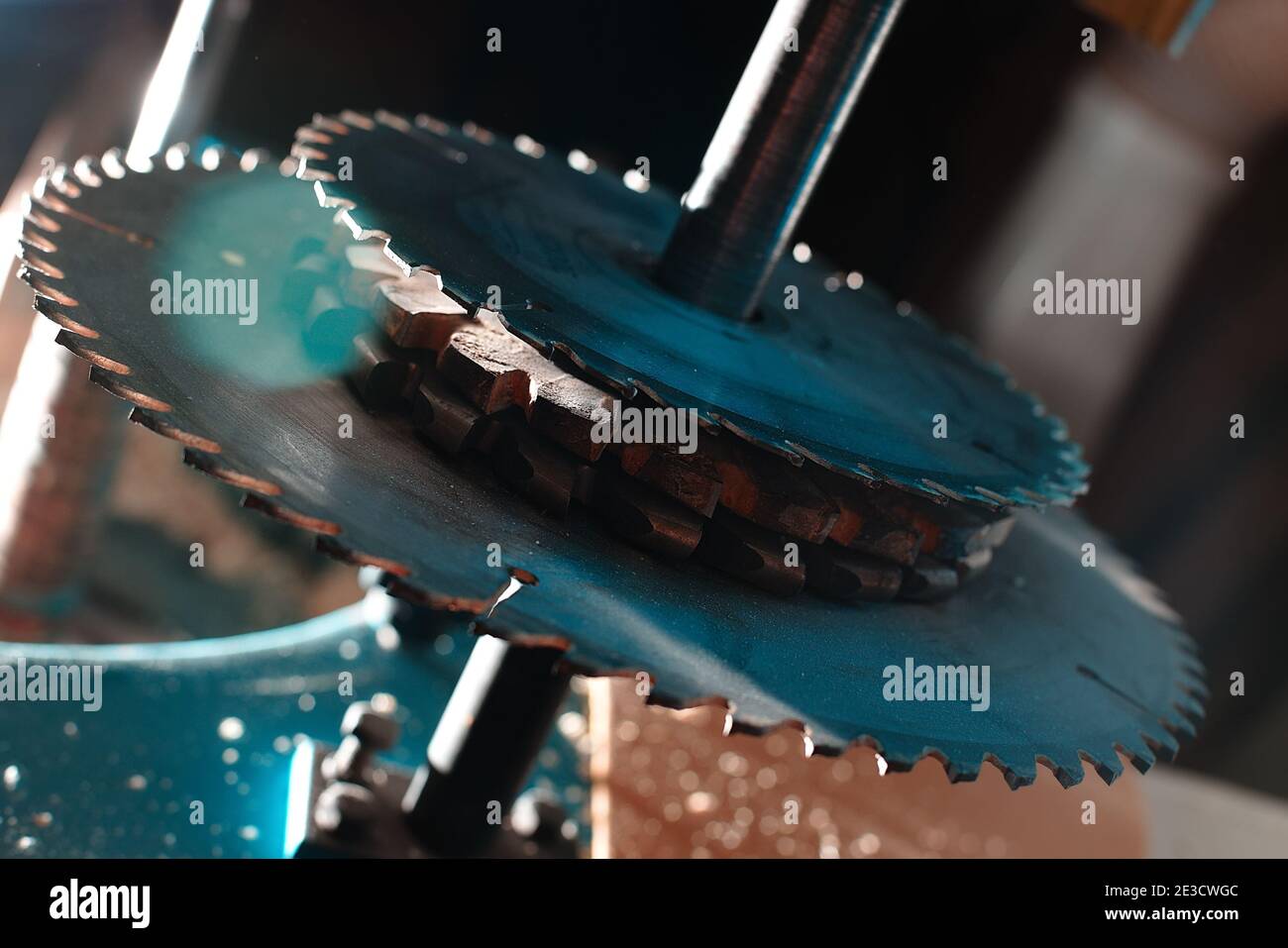 Scharfe Kreissägeblätter aus der Nähe. Gefährliche Maschine in der Schreinerei. Stockfoto