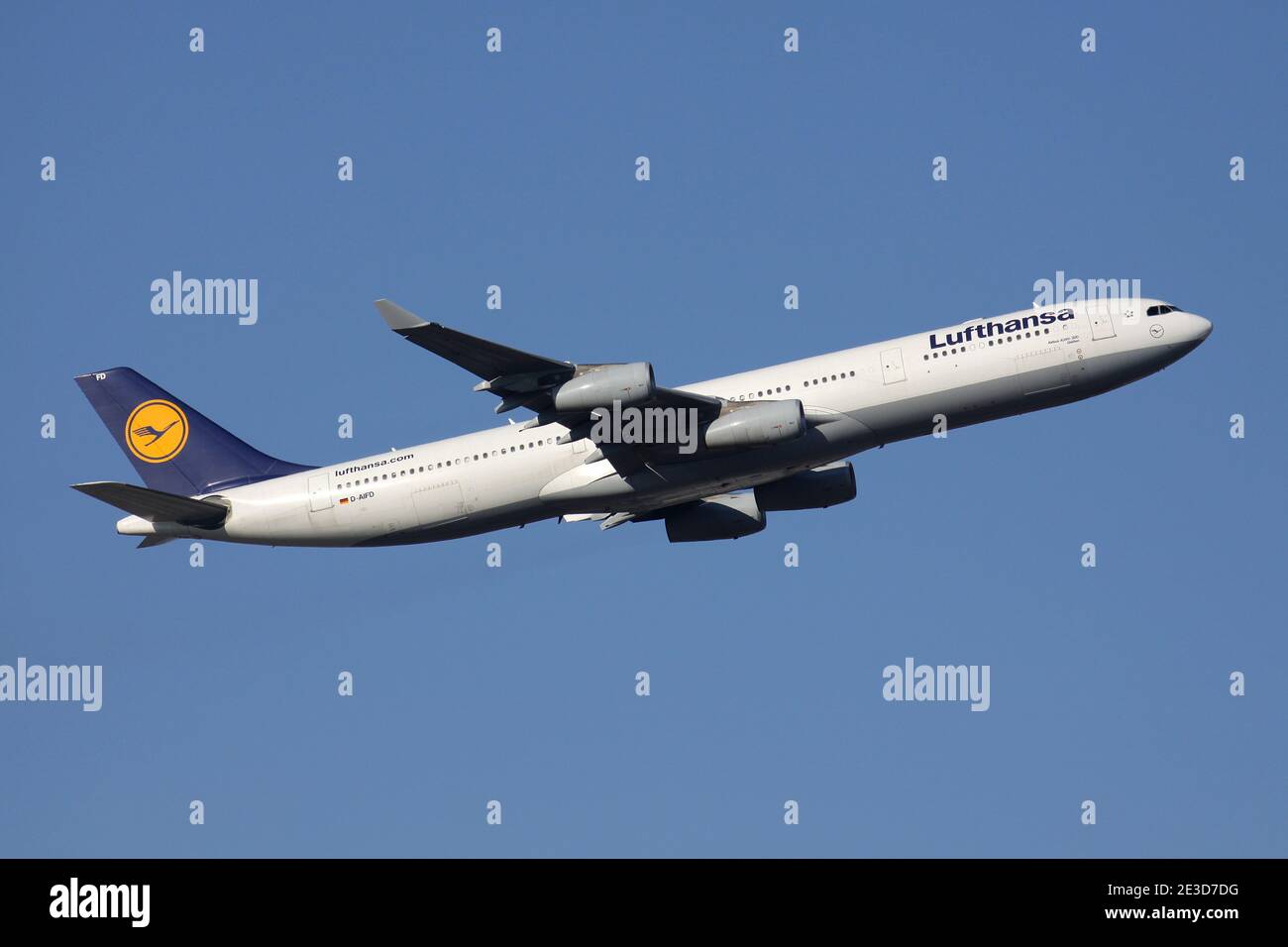 Deutscher Lufthansa Airbus A340-300 mit Registrierung D-AIFD Airborne am Frankfurter Flughafen. Stockfoto