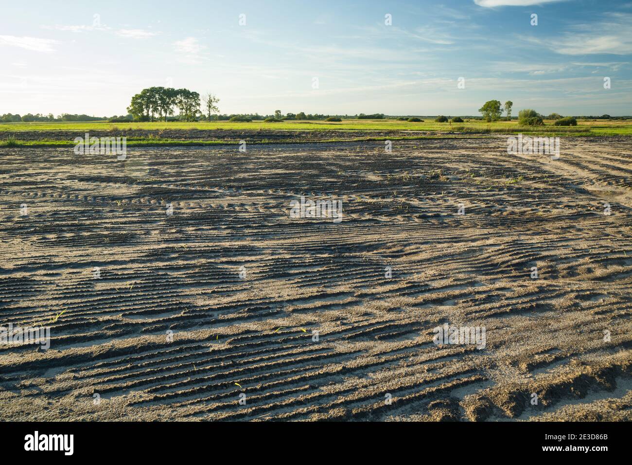 Gepflügte Feld, Spuren von Maschinen im Boden, Sommer ländlichen Blick Stockfoto