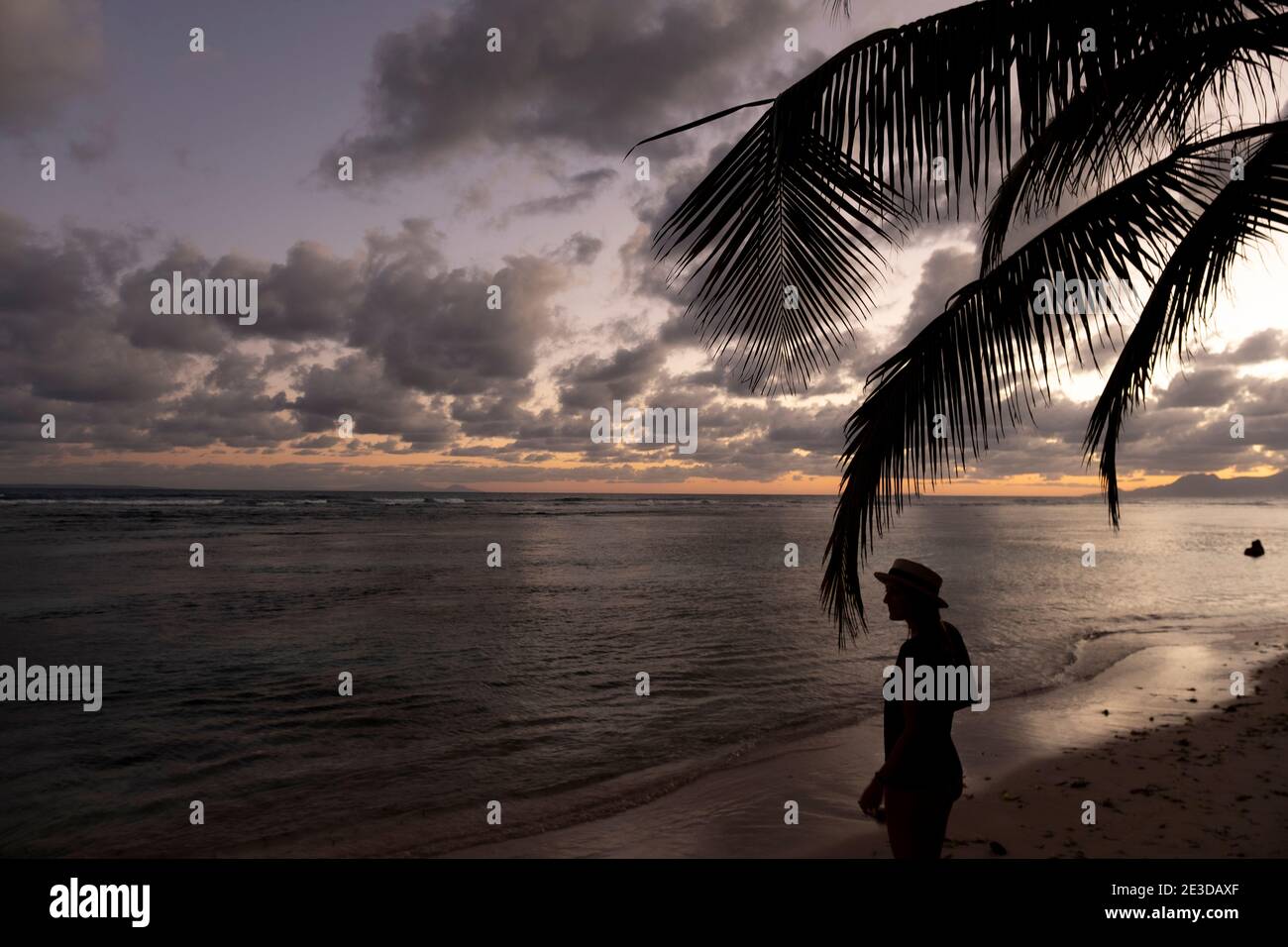 Plage de Bois Jolan - Sainte Anne Guadalupa Stockfoto