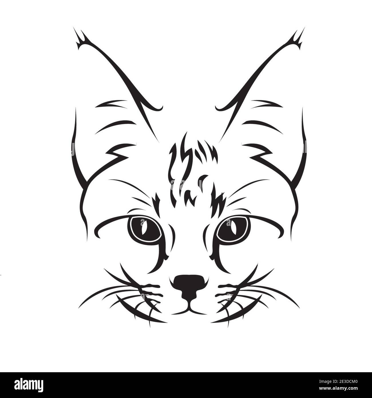 Schwarz-weiße Katze Gesichtszeichnung Stockfoto