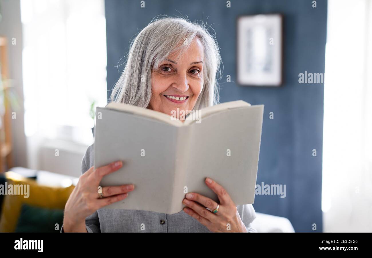 Ältere Frau mit Buch drinnen auf dem Sofa zu Hause, Blick auf die Kamera. Stockfoto
