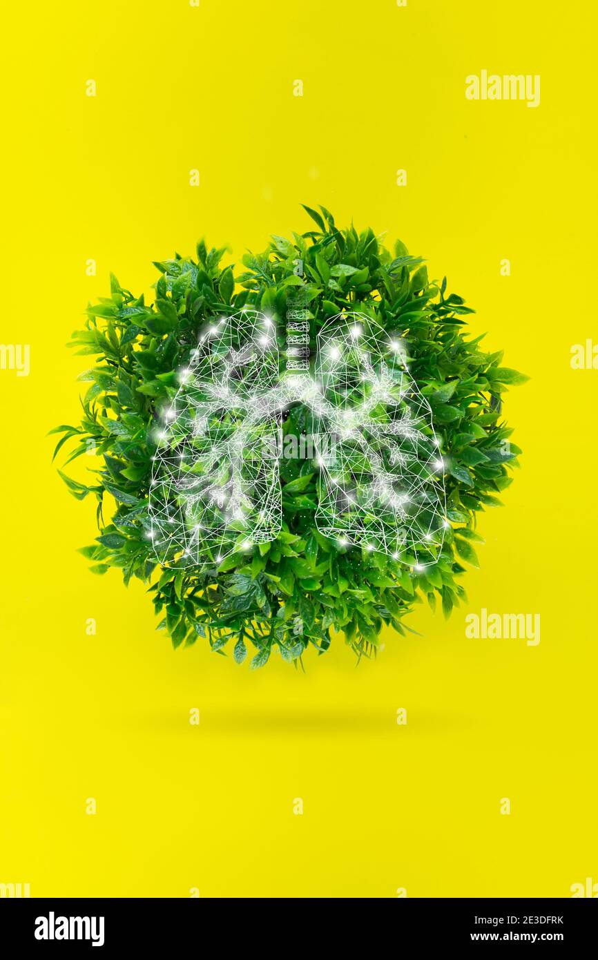 Erdkugel aus grünem Gras mit Hologramm-Lungen. Das Konzept der Erhaltung des grünen Planeten umweltfreundliche Planeten Stockfoto