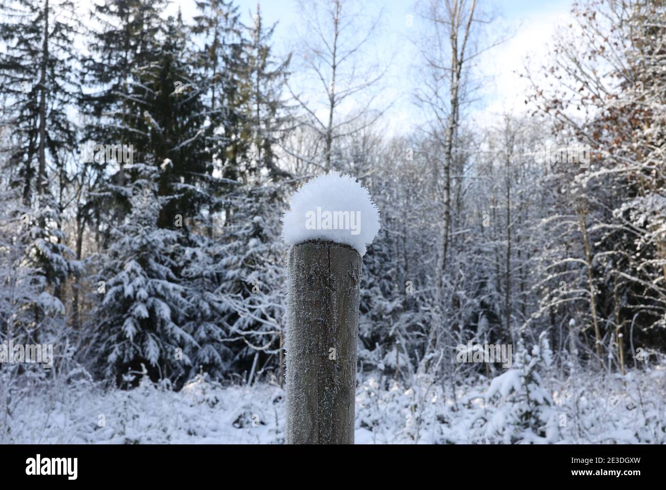 Weiße Schneekappen an den Zaunpfosten. Stockfoto