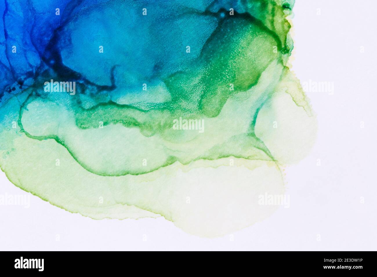 Makro-Nahaufnahme von abstrakter blauer und grüner Alkoholtinte auf Weiß. Flüssige Tinte, bunt strukturierter Hintergrund. Lebendige Farben. Kunst für Design. Stockfoto