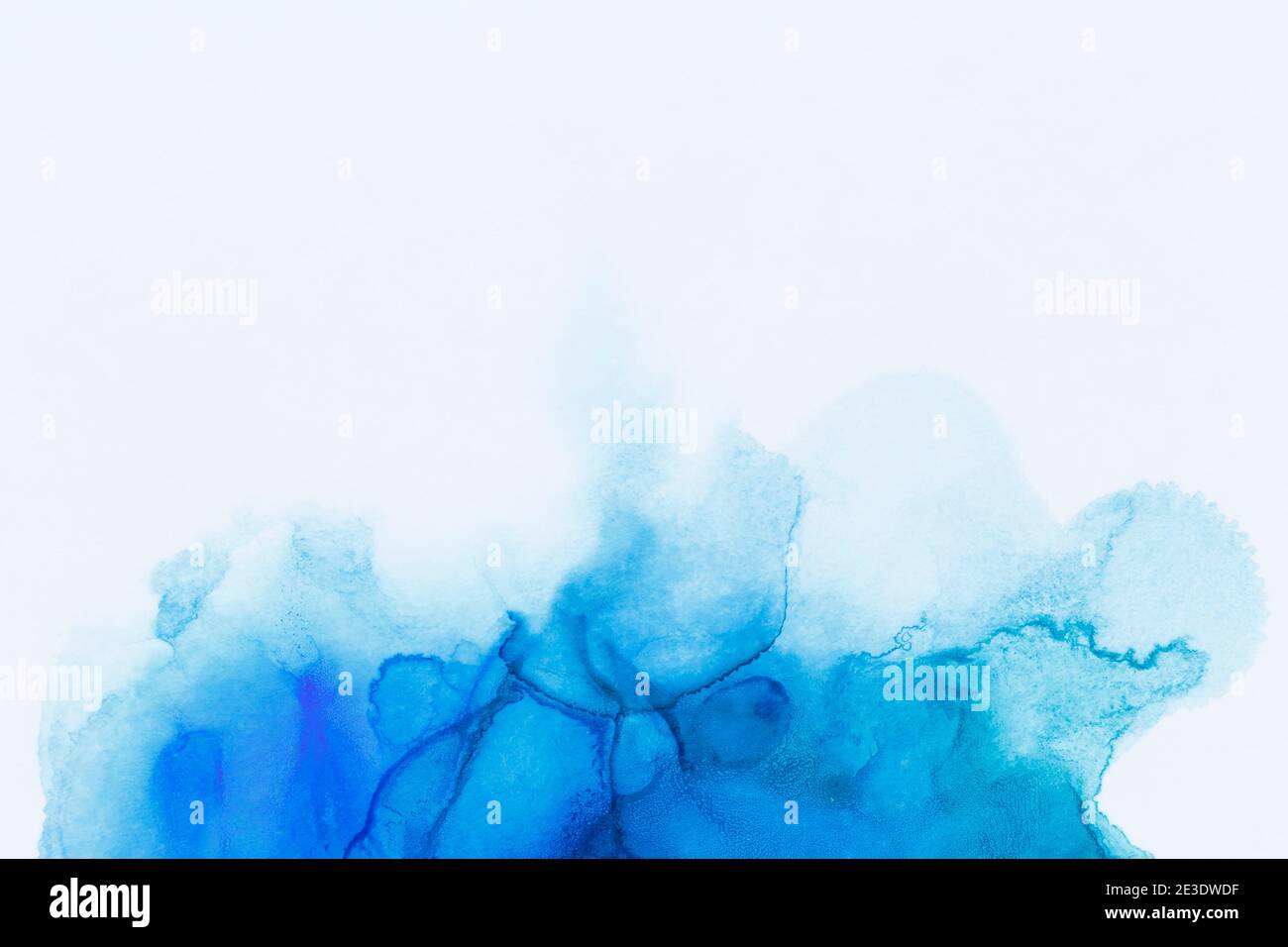 Makro-Nahaufnahme von abstrakter blauer Alkoholtinte auf Weiß. Flüssige Tinte, bunt texturierter Hintergrund mit Kopierraum. Lebendige Farben. Kunst für Design. Stockfoto